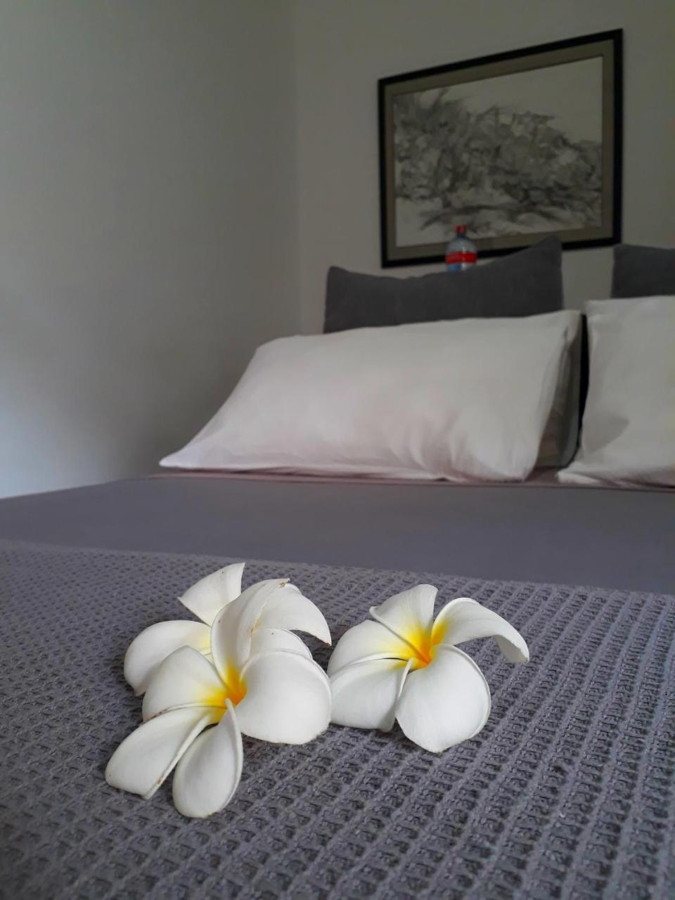 "27" Spathodea- Oasis In The City Kolombo Zewnętrze zdjęcie